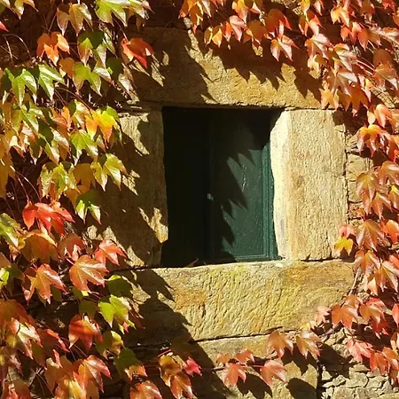 Pazo 