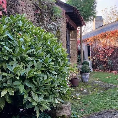Pazo 