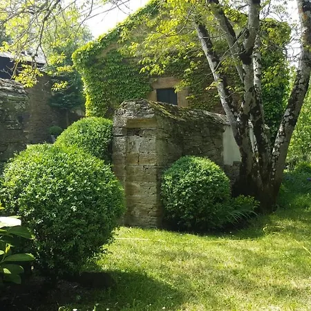 Pazo 